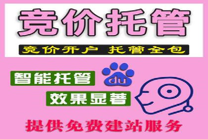 某品牌SEM推广代运营的实践与效果评估